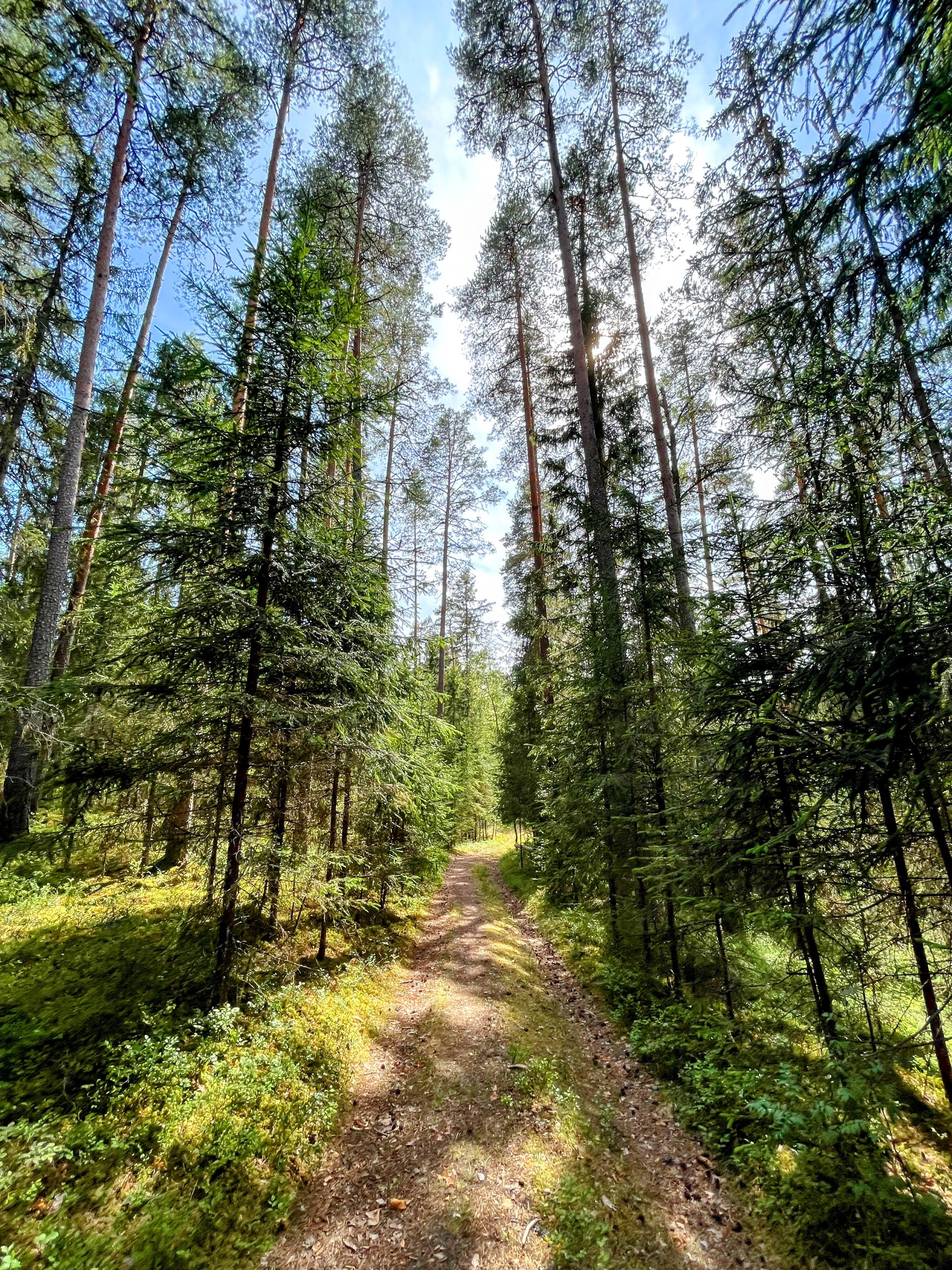 Karula National Park Camping Area
